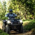 Kawasaki Brute Force 750 4x4i EPS